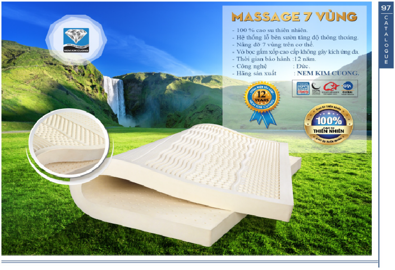 Đệm cao su thiên nhiên massage 7 vùng - Demdep.net